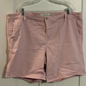 Torrid Shorts